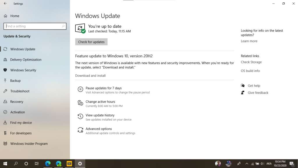 Windows 10 version 20H2 October 2020 feature update Microsoft  
