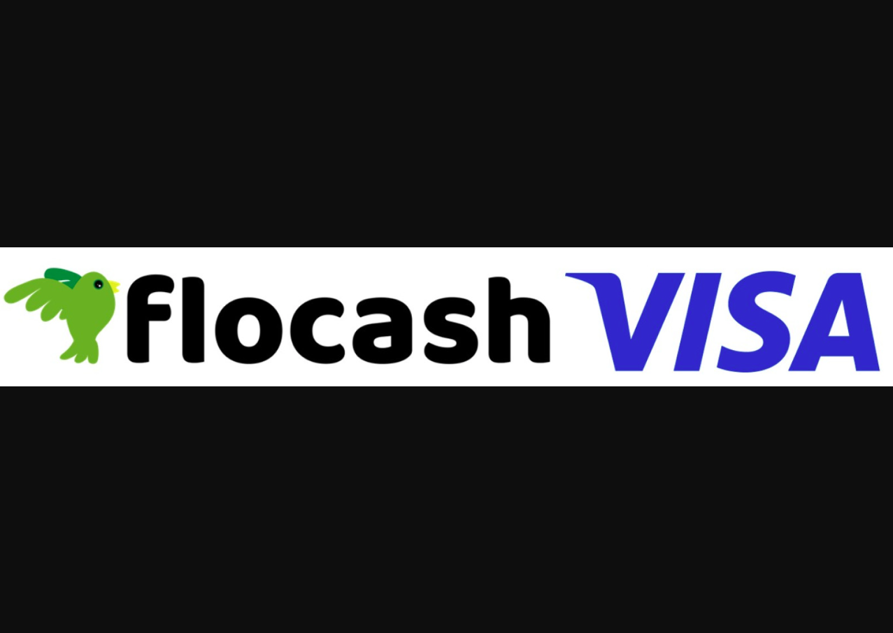 Visa, Flocash introduce Flostore to help small businesses accept digital payments