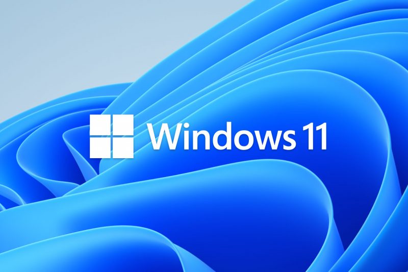 Windows 11 logo on a windows bloom image, post on how to fix Windows 11 problems 